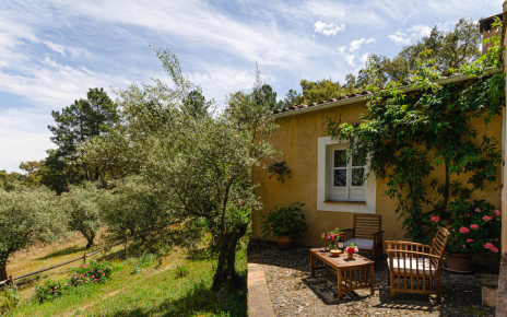 Front terrace with views